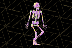 Neon Skeleton Clipart PNG, Patterned Skull Art, Halloween Product Image 5