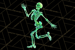 Neon Skeleton Clipart PNG, Patterned Skull Art, Halloween Product Image 2