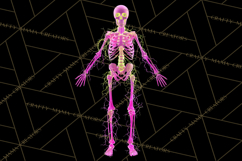 Neon Skeleton Clipart PNG, Patterned Skull Art, Halloween Product Image 5