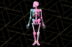 Neon Skeleton Clipart PNG, Patterned Skull Art, Halloween Product Image 5