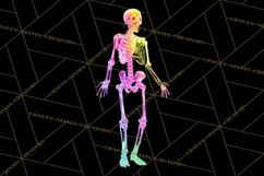 Neon Skeleton Clipart PNG, Patterned Skull Art, Halloween Product Image 4
