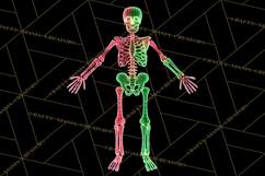 Neon Skeleton Clipart PNG, Patterned Skull Art, Halloween Product Image 5