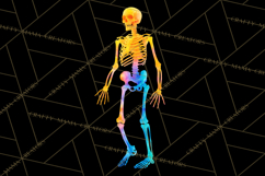 Neon Skeleton Clipart PNG, Patterned Skull Art, Halloween Product Image 2