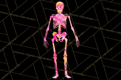 Neon Skeleton Clipart PNG, Patterned Skull Art, Halloween Product Image 3