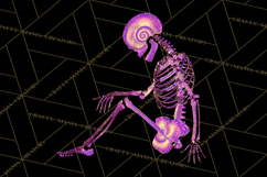 Neon Skeleton Clipart PNG, Patterned Skull Art, Halloween Product Image 4