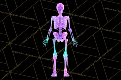 Neon Skeleton Clipart PNG, Patterned Skull Art, Halloween Product Image 3