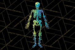 Neon Skeleton Clipart PNG, Patterned Skull Art, Halloween Product Image 4