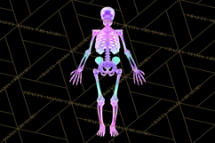 Neon Skeleton Clipart PNG, Patterned Skull Art, Halloween Product Image 5
