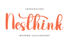 Nesthink Product Image 1