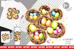 Nests with Eggs Clipart Product Image 1