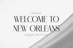 Netyrac Elegant Font Product Image 2