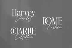 Netyrac Elegant Font Product Image 3