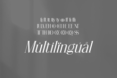 Netyrac Elegant Font Product Image 7