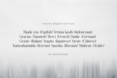 Netyrac Elegant Font Product Image 8