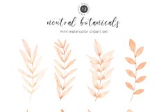 Neutral botanical watercolor clipart Product Image 2