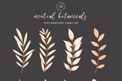 Neutral botanical watercolor clipart Product Image 5