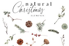 neutral christmas clipart watercolor winter png pine cones cedar fir fern berries eucalyptus orange