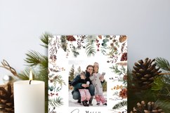 neutral christmas clipart watercolor winter png pine cones cedar fir fern berries eucalyptus orange