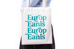 Neutral Trends - Modern Display Serif Font Product Image 2