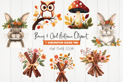 Bunny &amp; Owl Autumn Clipart Product Image 1