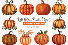 Rustic Autumn Pumpkin Clipart Product Image 1