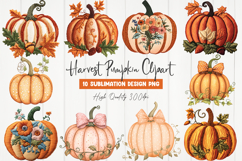Harvest Pumpkin Clipart Product Image 1