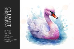 Watercolor swan clipart sublimation Product Image 1