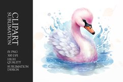 Watercolor swan clipart sublimation Product Image 1