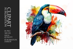 Watercolor colorful toucan bird sitting on a branch clipart Product Image 1