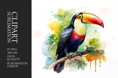 Watercolor colorful toucan bird sitting on a branch clipart Product Image 1