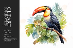 Watercolor colorful toucan bird sitting on a branch clipart Product Image 1