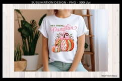 Hey There Pumpkin, Faux Embroidery, Coquette Bow Sublimation Product Image 4