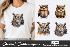 Cute Owl Watercolor Clipart PNG Product Image 1