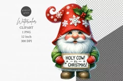 Christmas gnome clipart, Gnome clipart, Christmas clipart, Product Image 1