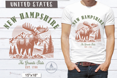New hampshire PNG Vintage United States Sublimation Design