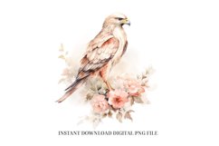 Buzzard Clipart PNG - Watercolor Bird Sublimation Design Product Image 1