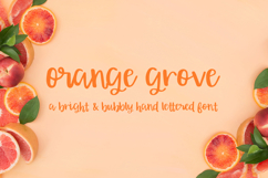 Orange Grove Script Product Image 1