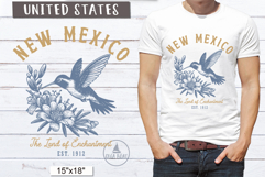 New Mexico PNG Vintage United States Sublimation Design
