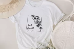 new mexico svg