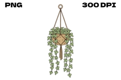 Hanging Ivy Plant Doodle - Hand-Drawn Macramé Basket Clipart Product Image 1