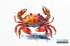 Watercolor Cute Baby Red Crab png clipart Product Image 1