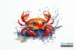 Watercolor Cute Baby Red Crab png clipart Product Image 1