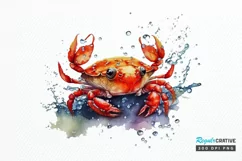 Watercolor Cute Baby Red Crab png clipart Product Image 1