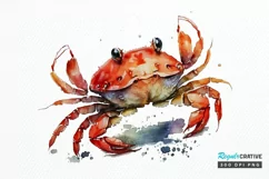 Watercolor Cute Baby Red Crab png clipart Product Image 1
