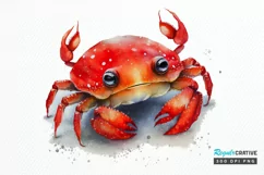 Watercolor Cute Baby Red Crab png clipart Product Image 1