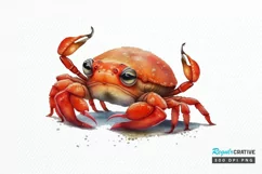 Watercolor Cute Baby Red Crab png clipart Product Image 1