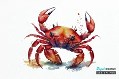 Watercolor Cute Baby Red Crab png clipart Product Image 1