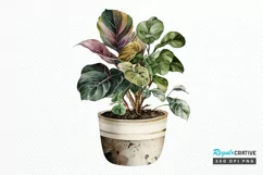 Watercolor Potted Plant png clipart Product Image 1