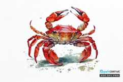 Watercolor Cute Baby Red Crab png clipart Product Image 1