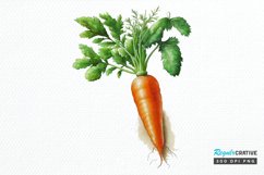 Watercolor Carrot png clipart Product Image 1